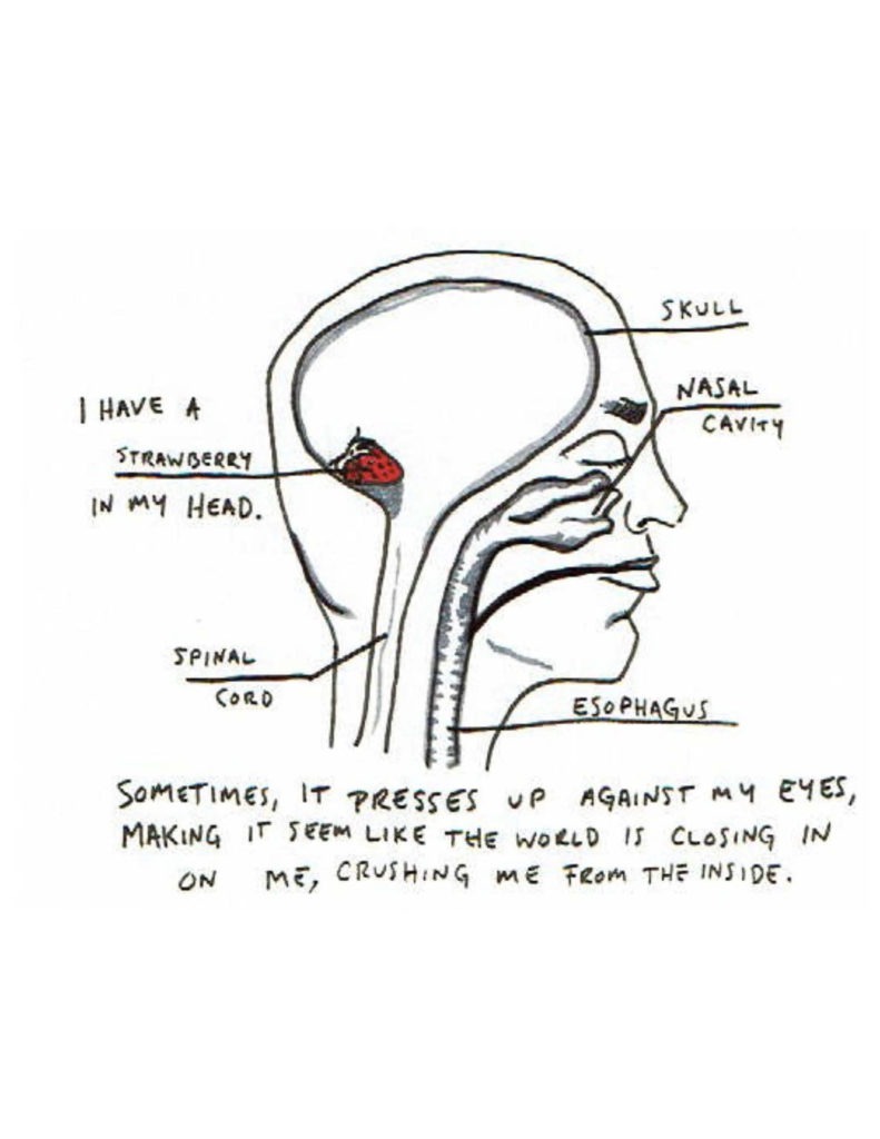 Page 12: A rough diagram of the inside of a human head in profile takes up most of the page. The skull, nasal cavity, esophagus, and spinal cord are labelled. At the back of the head, in the hollow where the brain should be, is a small strawberry, and its label reads “I have a strawberry in my head.” “Sometimes, it presses up against my eyes, making it seem like the world is closing in on me, crushing me from the inside.”
