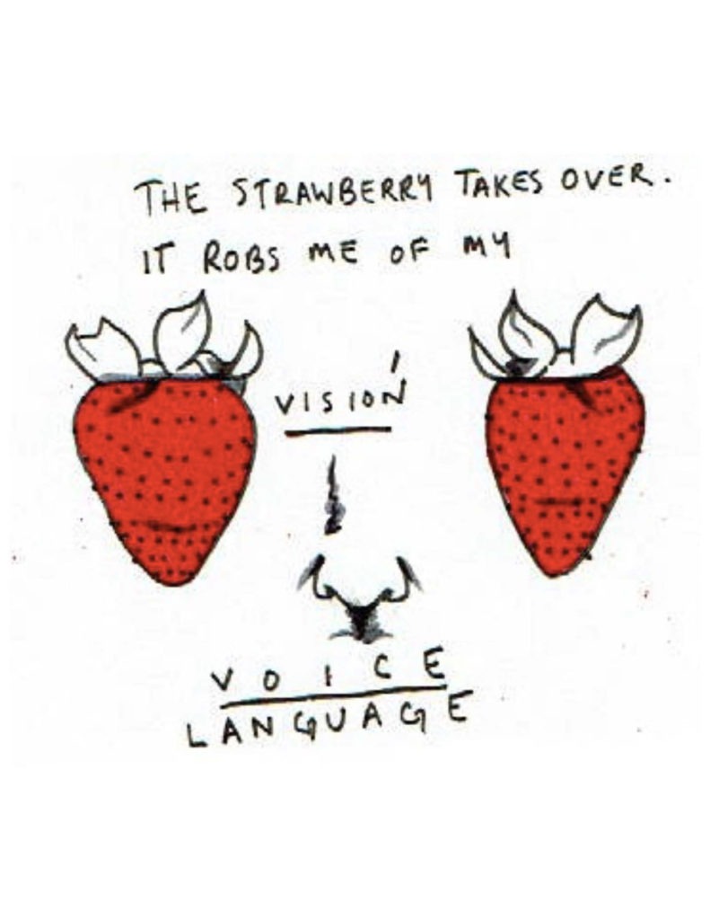 Page 13: “The strawberry takes over. It robs me of my vision, voice, language.” Two strawberries flank a nose, with the word vision over the nose and the words voice and language beneath it. 